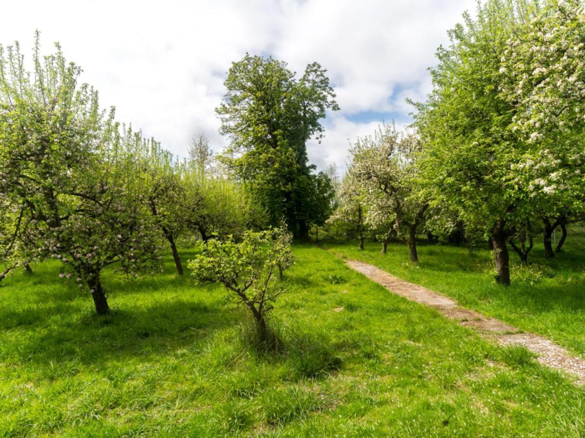 Klein Pravtshagen Gartenbungalow 2 Rechte Seite מראה חיצוני תמונה