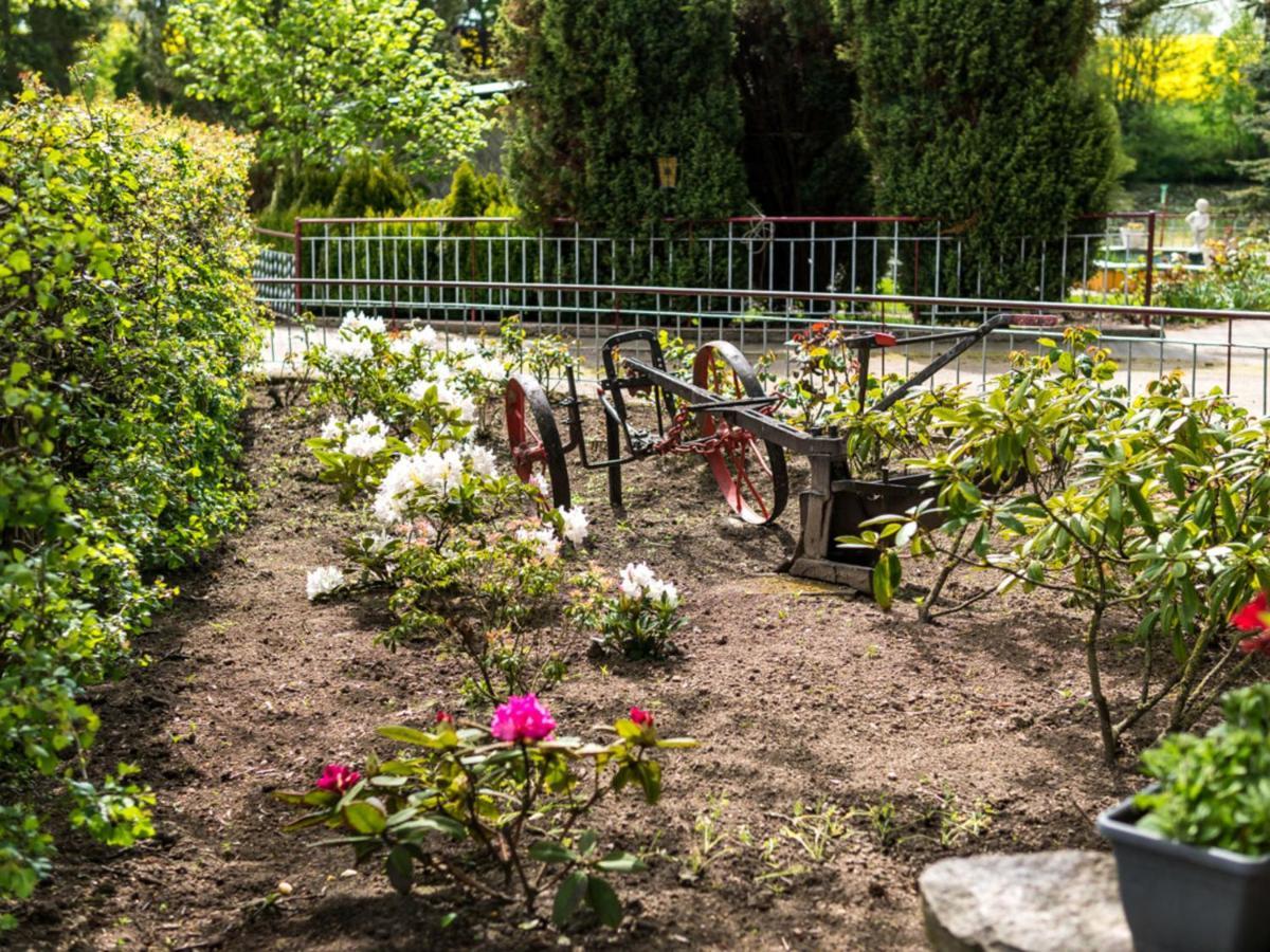 Klein Pravtshagen Gartenbungalow 2 Rechte Seite חדר תמונה